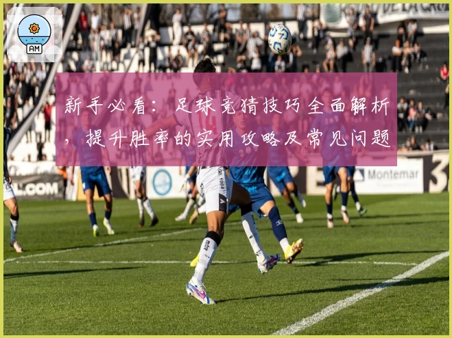 新手必看：足球竞猜技巧全面解析，提升胜率的实用攻略及常见问题解答