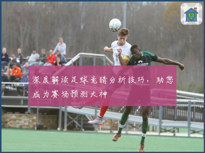 深度解读足球竞猜分析技巧，助您成为赛场预测大神